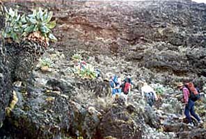 International Mountain Guides Kilimanjaro Climb