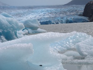 Some icebergs that've run ashore. (Photo Tye Chapman)