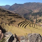 Peruvian Terraces (Peter Anderson)