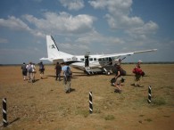 Serengeti "Airport". (Greg Vernovage)