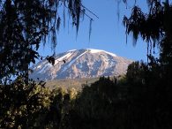 Kilimanjaro (Dustin Balderach)