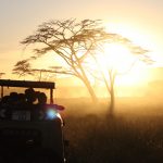 The Serengeti at sunset (Eben Reckord).
