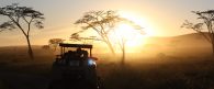 The Serengeti at sunset (Eben Reckord).