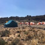 Tents at Shira Camp (Phunuru Sherpa)