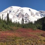 Mount Rainier in the Fall (Luke Reilly)