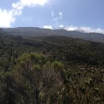 The Hike Up to the Shira Plateau (Dustin Balderach)