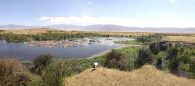 Wildlife in Ngorongoro Crater (Dustin Balderach)