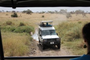 Game drive on the Serengeti (photo: Dustin Balderach)