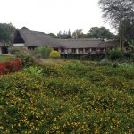 Luxury Safari Lodge (Dustin Balderach)