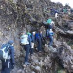 Climbing Barranco Wall on the Way to Karanga Camp (Phunuru Sherpa)