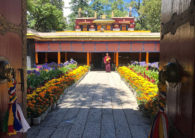 Norbu Linka: Summer home to the Dalai Lama (Ang Jangbu Sherpa)