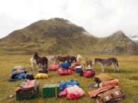 The teams donkeys in camp at Lagoon Carhuacocha (John Hodder)