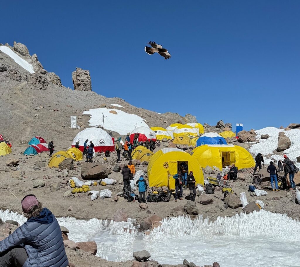 A Caracara falcon above Camp 2 (Stu Johnson)