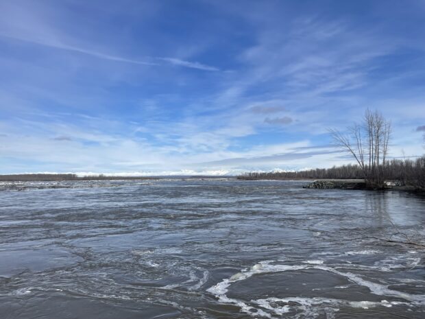 Clear Day in Talkeetna