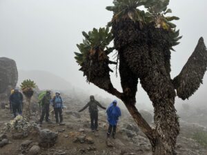 Arriving Barranco Camp (Ang Jangbu)