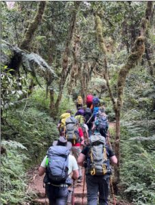 Heading up into the forest from Machame Gate (Eric Simonson)