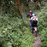 Hiking through the forest on the first day of the Kili climb (Eric Simonson)