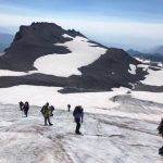 Rope Travel On The Paradise Glacier (Anna Hicks)