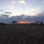 Sunset on the Serengeti (Dustin Balderach)