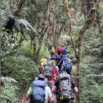 Heading up into the forest from Machame Gate (Eric Simonson)