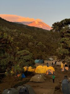 Machame Camp (Max Bond)