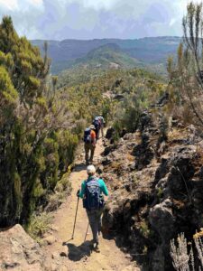 On the way to Shira Camp (Max Bond)