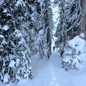 Eagle Peak Trail (M Bond)